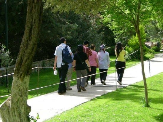 Ephesus Ancient City Detail 3